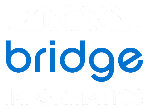 bridge informatics logo