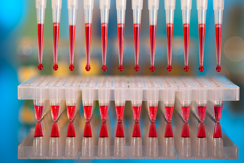 multichannel pipette of red reaction mixture for genomic analysis